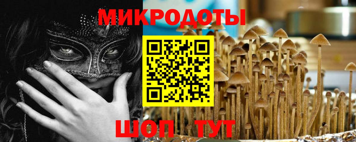 Галлюциногенные грибы мухоморы Кострома